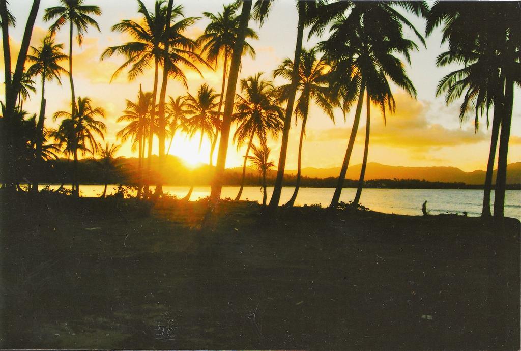 Casa Por Que No Bed & Breakfast Las Galeras Exterior photo